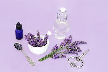 Image showing Lavender Herb Flower Essence Preparation