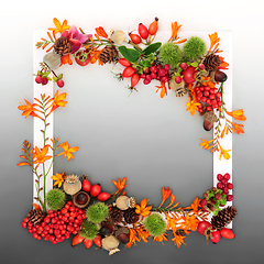 Image showing Colorful Autumn Thanksgiving Fall Nature Background Border