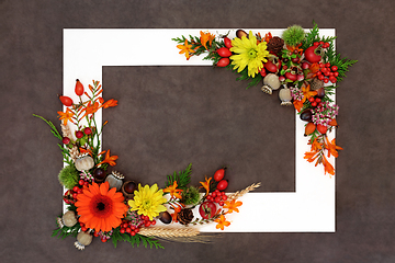 Image showing Floral Thanksgiving and Autumn Nature Background Border