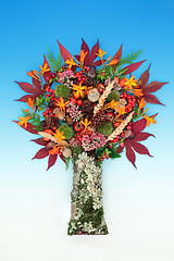 Image showing Surreal Nature Autumn Fall Thanksgiving Tree Composition