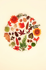 Image showing Autumn Fall Flora and Fauna Thanksgiving Design