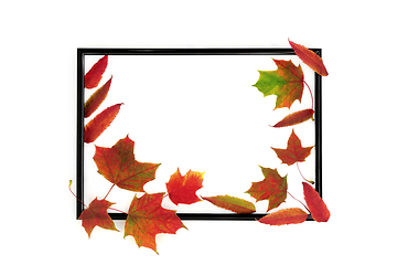 Image showing Autumn Fall Background Frame with Vivid Red Leaves