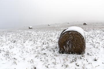 Image showing Bales of straw on a field with snow in winter