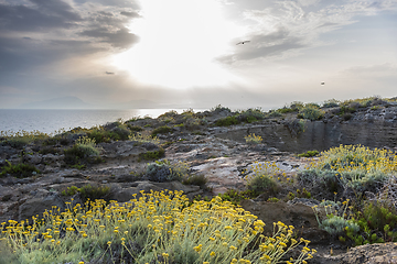 Image showing Seaside landscape in the morning at sunrise