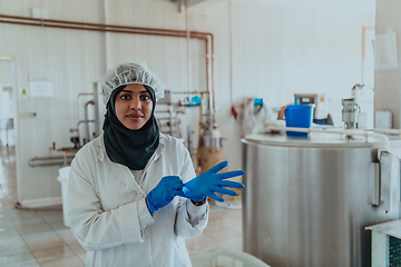 Image showing Arab business woman visiting a cheese factory. The concept of investing in small businesses