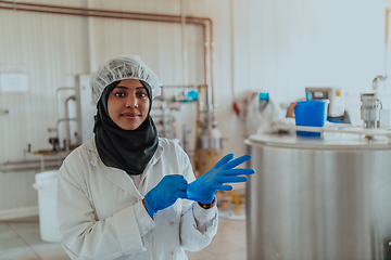 Image showing Arab business woman visiting a cheese factory. The concept of investing in small businesses