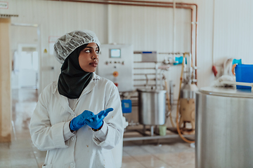 Image showing Arab business woman visiting a cheese factory. The concept of investing in small businesses