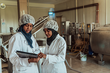 Image showing Arab business partners checking the quality of cheese in the industry and enter data into a laptop. Small business concept