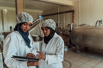 Image showing Arab business partners checking the quality of cheese in the industry and enter data into a laptop. Small business concept