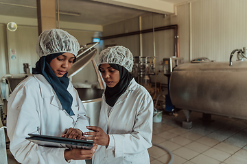 Image showing Arab business partners checking the quality of cheese in the industry and enter data into a laptop. Small business concept