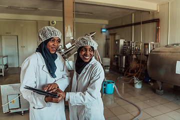 Image showing Arab business partners checking the quality of cheese in the industry and enter data into a laptop. Small business concept