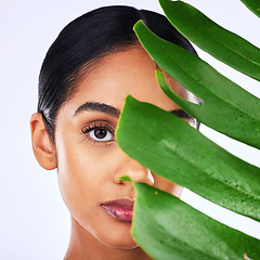 Image showing Skincare, leaf and portrait of woman in studio for natural, cosmetic or organic treatment on grey background. Plant, face and lady wellness model with monstera, beauty or facial and dermatology