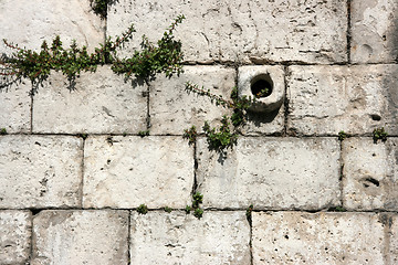 Image showing Limestone wall background