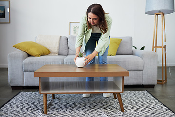 Image showing Potted plant, home decor and a woman in the living room of her apartment for spring cleaning. Coffee table, housework or chores with a young homeowner indoor for the aesthetic decoration of furniture