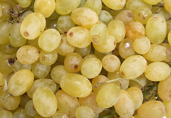 Image showing grapes background