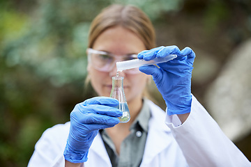 Image showing Forest, research and scientist test water sample for inspection of the ecosystem and environment study. Science, sustainable and woman professional environmentalist doing carbon footprint exam