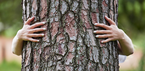 Image showing Hands, hug tree and sustainability in woods, nature or earth day for care, love or accountability. Woman, embrace and climate change protest for deforestation, countryside or environment in Argentina