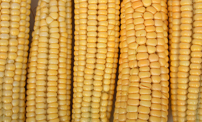 Image showing fresh maize 