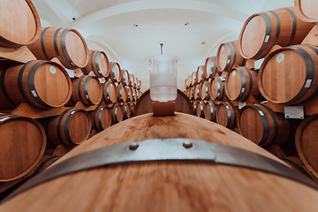 Image showing Wine or cognac barrels in the cellar of the winery, Wooden wine barrels in perspective. Wine vaults.Vintage oak barrels of craft beer or brandy.