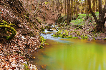 Image showing beautiful wild river in Apuseni mountains