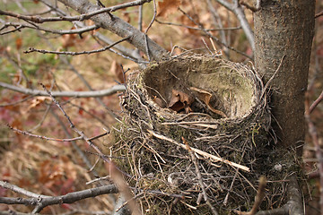 Image showing nest