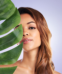 Image showing Woman, portrait and monstera leaf for beauty, natural cosmetics and eco dermatology on purple background. Face, studio model and green plant leaves for sustainable skincare, vegan aesthetic and glow