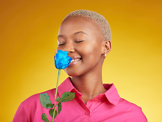 Image showing Smelling, love and spring with black woman and rose in studio for blossom, plant and environment. Gift, love and blue flower with face of person on yellow background for floral, scent and mockup