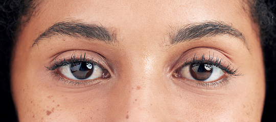 Image showing Eyes, vision and face closeup of woman for eyesight, optical care and eyelash extension with mascara. Eyebrows, eyecare and portrait of natural female person with cosmetics, microblading and beauty