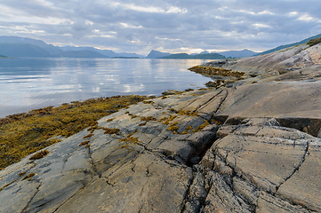 Image showing rock formation by the sea with seaweed