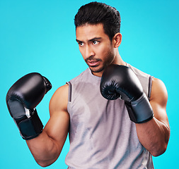 Image showing Boxing, man and fighter training, sports and energy against a blue studio background. Asian person, boxer or serious athlete with power, strong and challenge with workout gloves, fight or competition