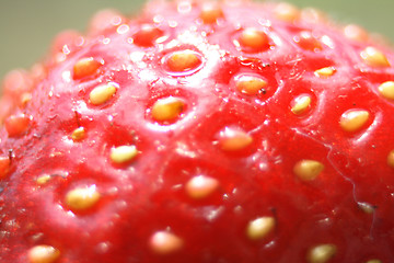 Image showing strawberry