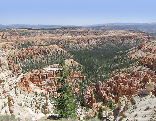 Image showing Bryce Canyon National Park