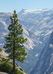 Image showing Yosemite National Park