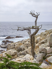 Image showing idyllic coastal scenery in California