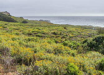 Image showing idyllic coastal scenery in California