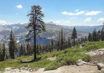 Image showing Yosemite National Park