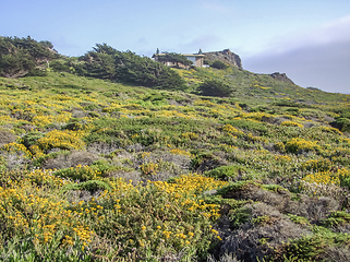 Image showing idyllic coastal scenery in California