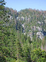 Image showing Yosemite National Park