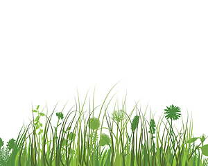Image showing Green Grass Meadow
