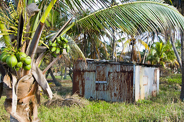 Image showing typical house corn island nicaragua