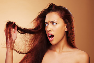 Image showing Damaged, hair and a woman upset in studio about salon, split end and hairdresser treatment. Stress, disaster and shocked model person with dry texture or hairstyle crisis on a brown background