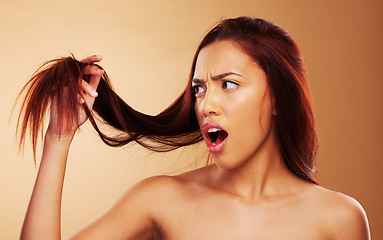 Image showing Hair, damaged and a woman in studio for salon, hairdresser and split end treatment. Stress, upset and shocked aesthetic model person with dry texture or worry hairstyle crisis on a brown background