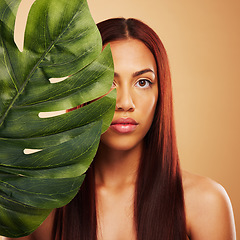 Image showing Beauty, leaf and portrait of woman in studio for natural dermatology, cosmetics or wellness results. Skin care, nature and monstera plant for eco friendly facial of model person on brown background