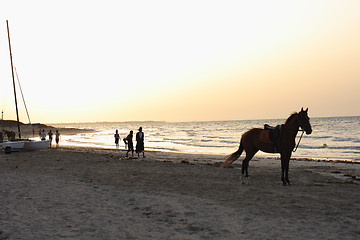 Image showing beach