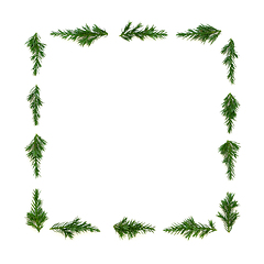 Image showing Juniper Fir Winter Christmas Background Minimal Border 