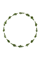 Image showing Juniper Fir Winter Christmas Wreath