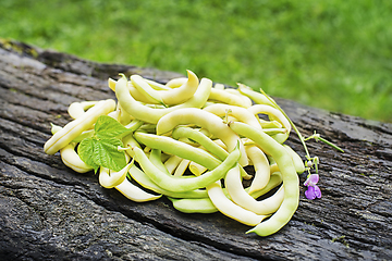 Image showing String beans