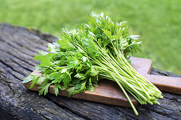 Image showing Parsley harvest