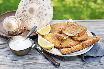 Image showing Macrolepiota procera fried