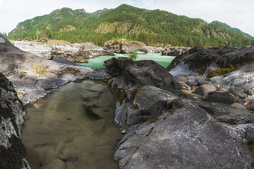 Image showing Nature baths on the Katun river